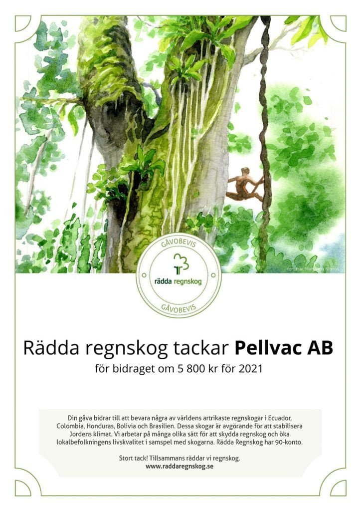 Rädda regnskogen certifikat